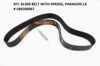 Dây đai BLWR Paragon LX 586500067